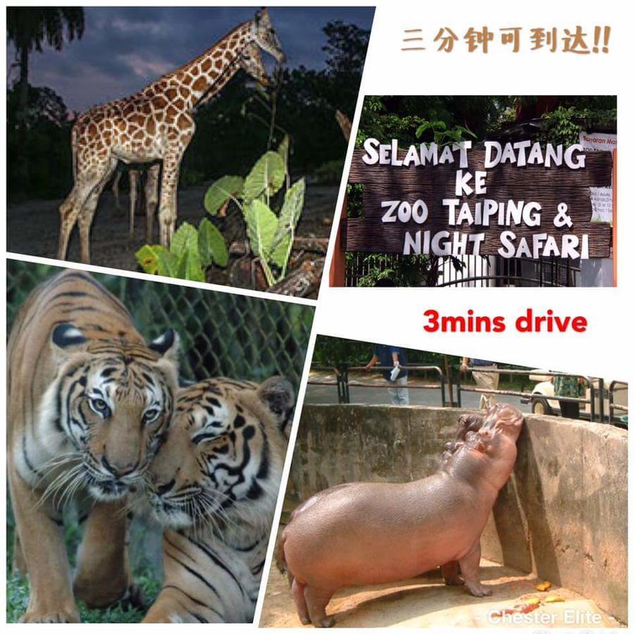 Taiping Homestay Экстерьер фото